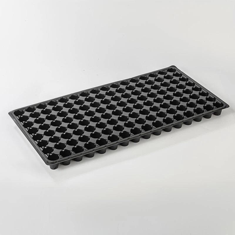 product-800-800
