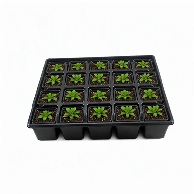 #NurseryTray #PlantPotTray #GardenSupplies #GreenhouseEquipment #SeedlingTray #PlantPropagation